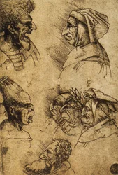 Seitsemän groteskia päätä; Leonardo da Vincin piirustus. Gallerie dell